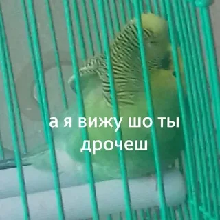 Sticker slavic_stickers - 10