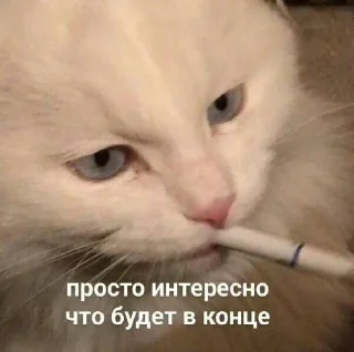 Sticker slavic_stickers - 0