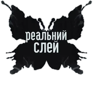 Стикер Український слей (@kyivsloth) - 8