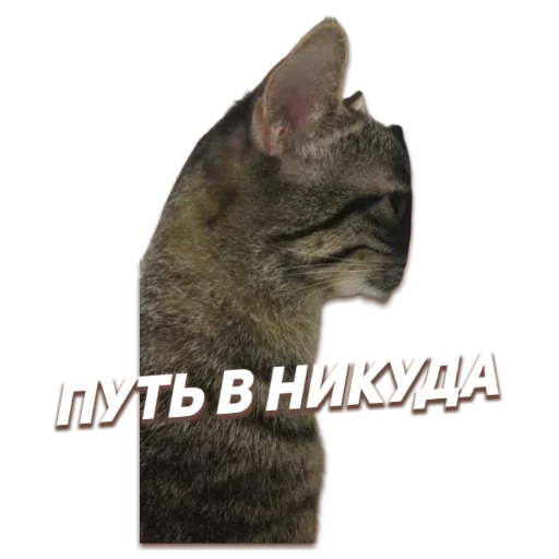 Sticker StickerPack - 10