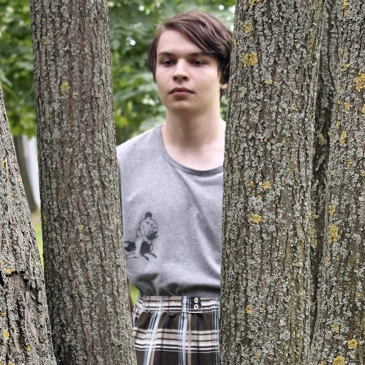 дерево на открытом воздухе Человек