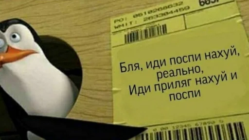 text bird aquatic bird