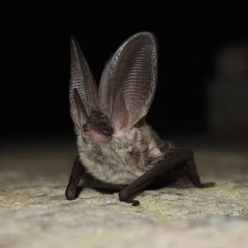 i’m only slightly nauseated @decayingdeaddecadence - 