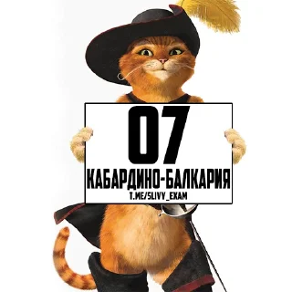 Sticker Сливы Экзамена: @slivy_exam - 6