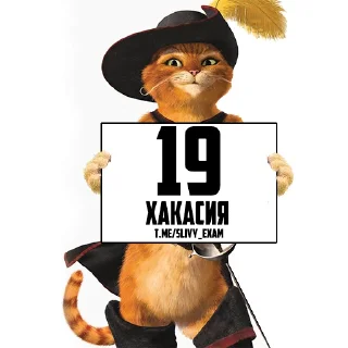 Sticker Сливы Экзамена: @slivy_exam - 8