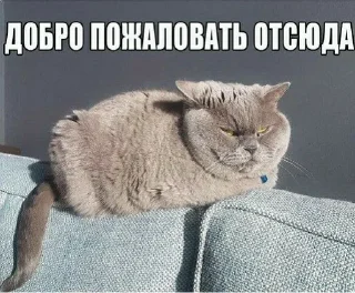 Sticker Работный день - 5