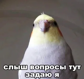 Sticker Работный день - 8