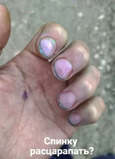 Стикер шловки и пидрики @TgEmodziBot - 5