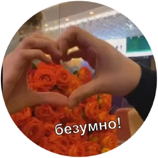 Стикер ору дико - 2