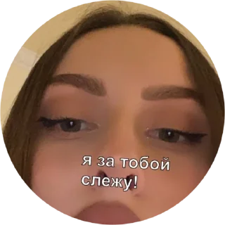 Стикер ору дико - 9