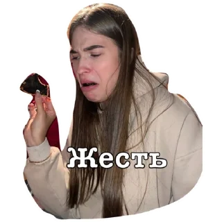 Sticker Tiktikers - 4