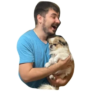 Sticker Tiktikers - 11