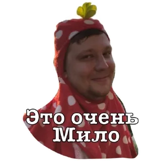 Sticker Tiktikers - 10