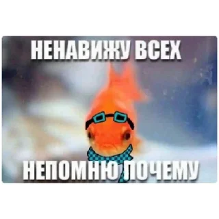 Стикер Лохи х3 - 11