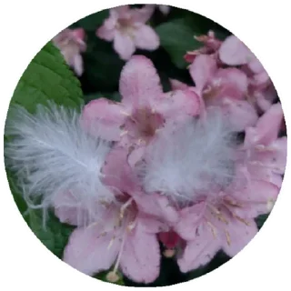 Sticker @DoQusTiefsinn - 4