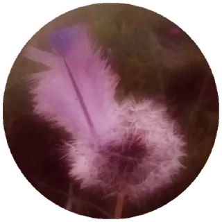 Sticker @DoQusTiefsinn - 10