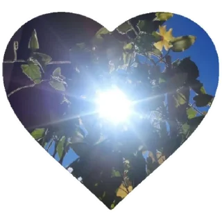 Sticker @DoQusTiefsinn - 3