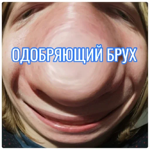 Sticker БРУХ - 4