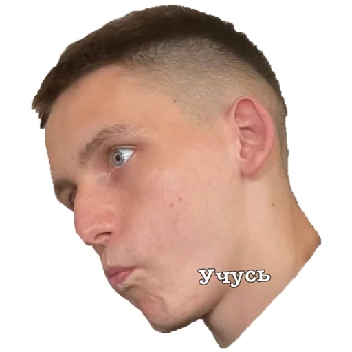 человеческое лицо лоб щека