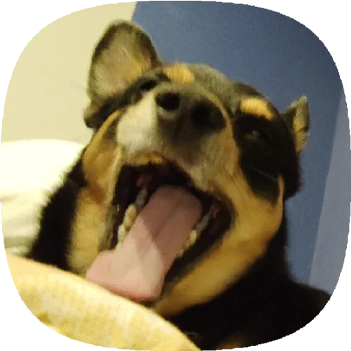 Стикер Tolik&Nafanya - 5