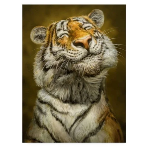 животное млекопитающее большая кошка