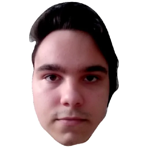 human face portrait eyebrow