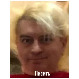 Стикер Балу в боги - 4