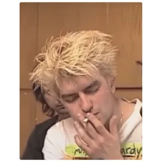 Стикер Балу в боги - 10