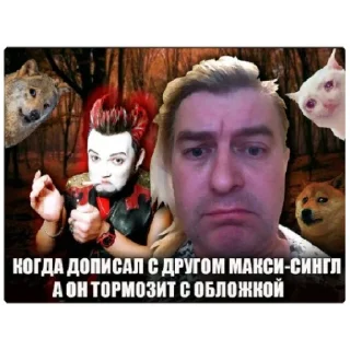 Стикер Балу в боги - 11