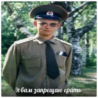 Стикер Балу в боги - 0