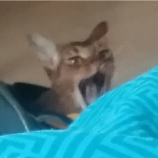 Sticker Ebaklashka 0.2 - 10