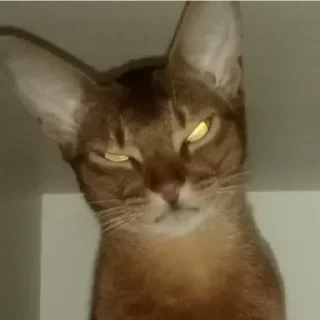 Sticker Ebaklashka 0.2 - 9