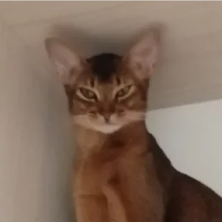 Sticker Ebaklashka 0.2 - 3