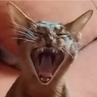 Sticker Ebaklashka 0.2 - 2