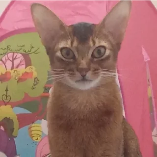 Sticker Ebaklashka 0.2 - 5