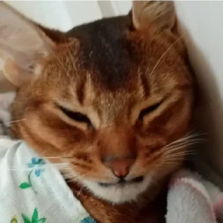 Sticker Ebaklashka 0.2 - 4