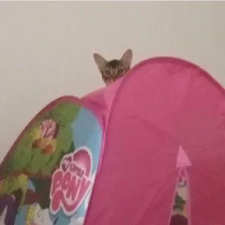 Sticker Ebaklashka 0.2 - 7