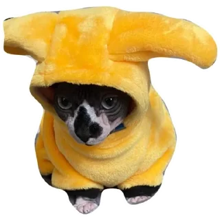 Стикер Young Masha memes - 6