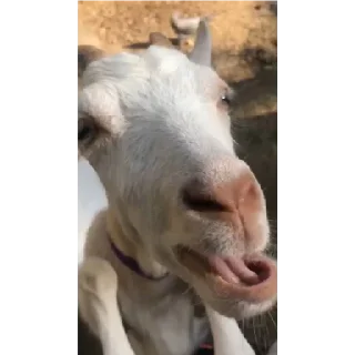 Sticker LixxxLove - 3