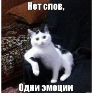 Sticker Мэджик - 8