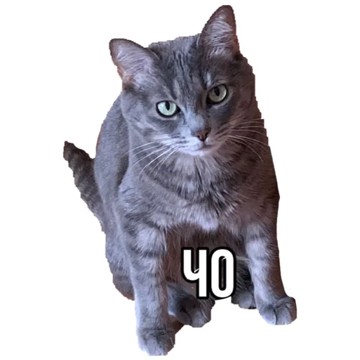 Sticker унхапэ муд - 0