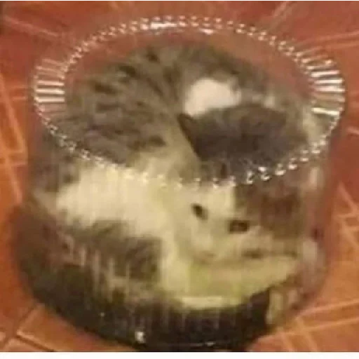 indoor plastic floor