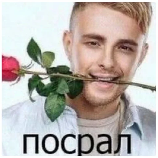 СМС человеческое лицо Человек