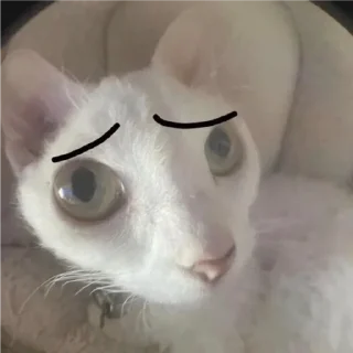 Стикер ебака - 4