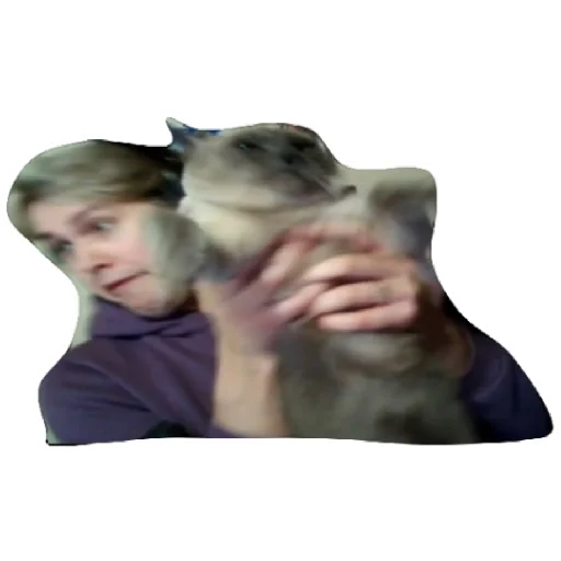 Стикер Mafa - 1