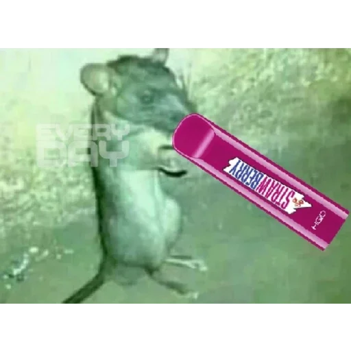 Стикер Хуйня - 10