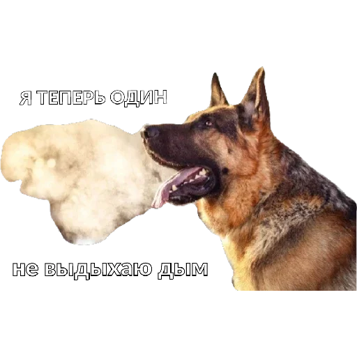 Стикер Хуйня - 9