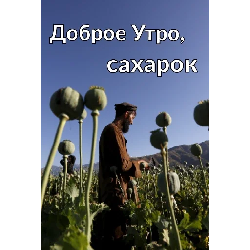 Стикер Хуйня - 8