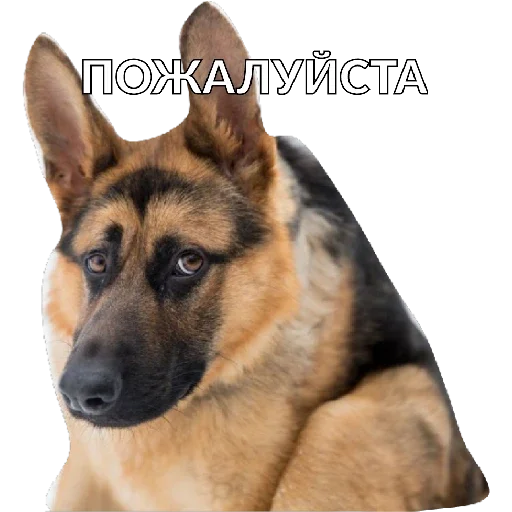 Стикер Хуйня - 1