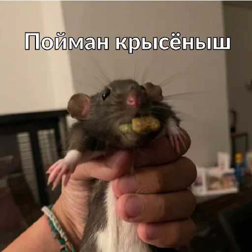 Стикер Хуйня - 0